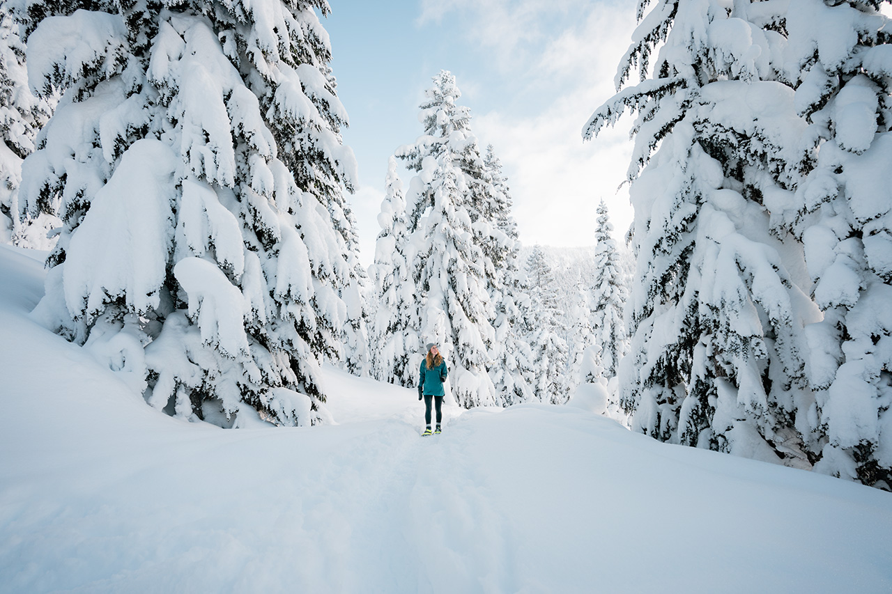 Woman in a blue winter jacket is snowshoeing on a snow covered trail.