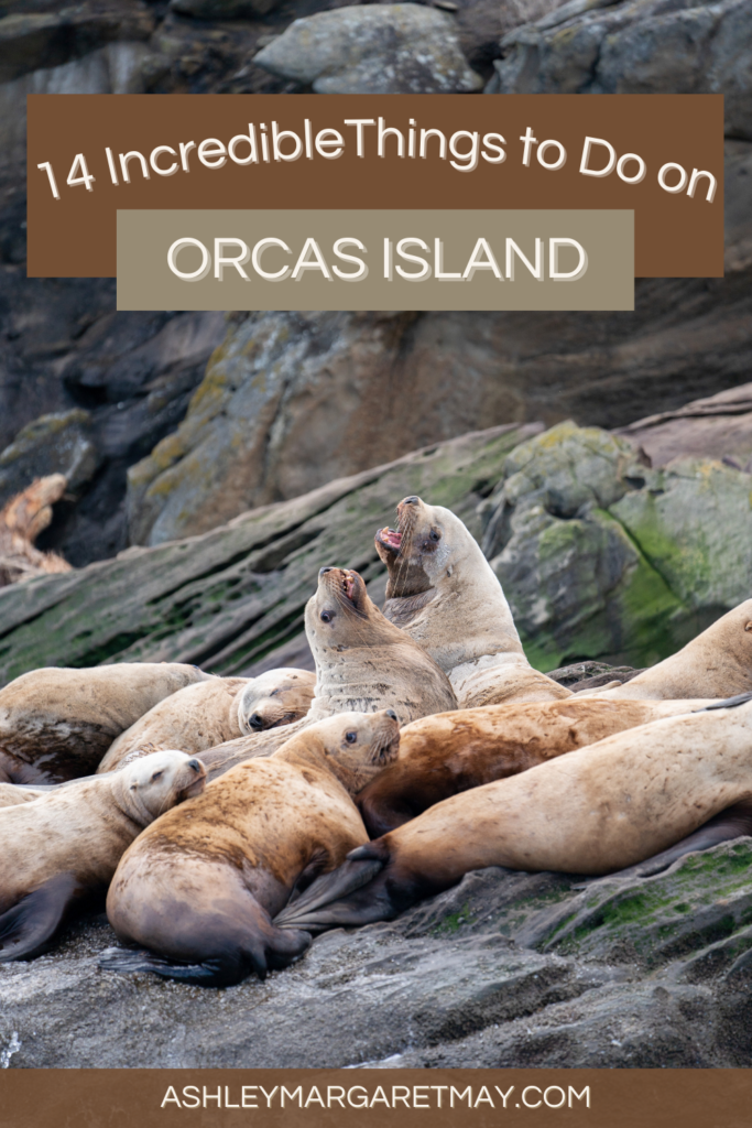 Pinterest cover for 14 incredible things to do on orcas island